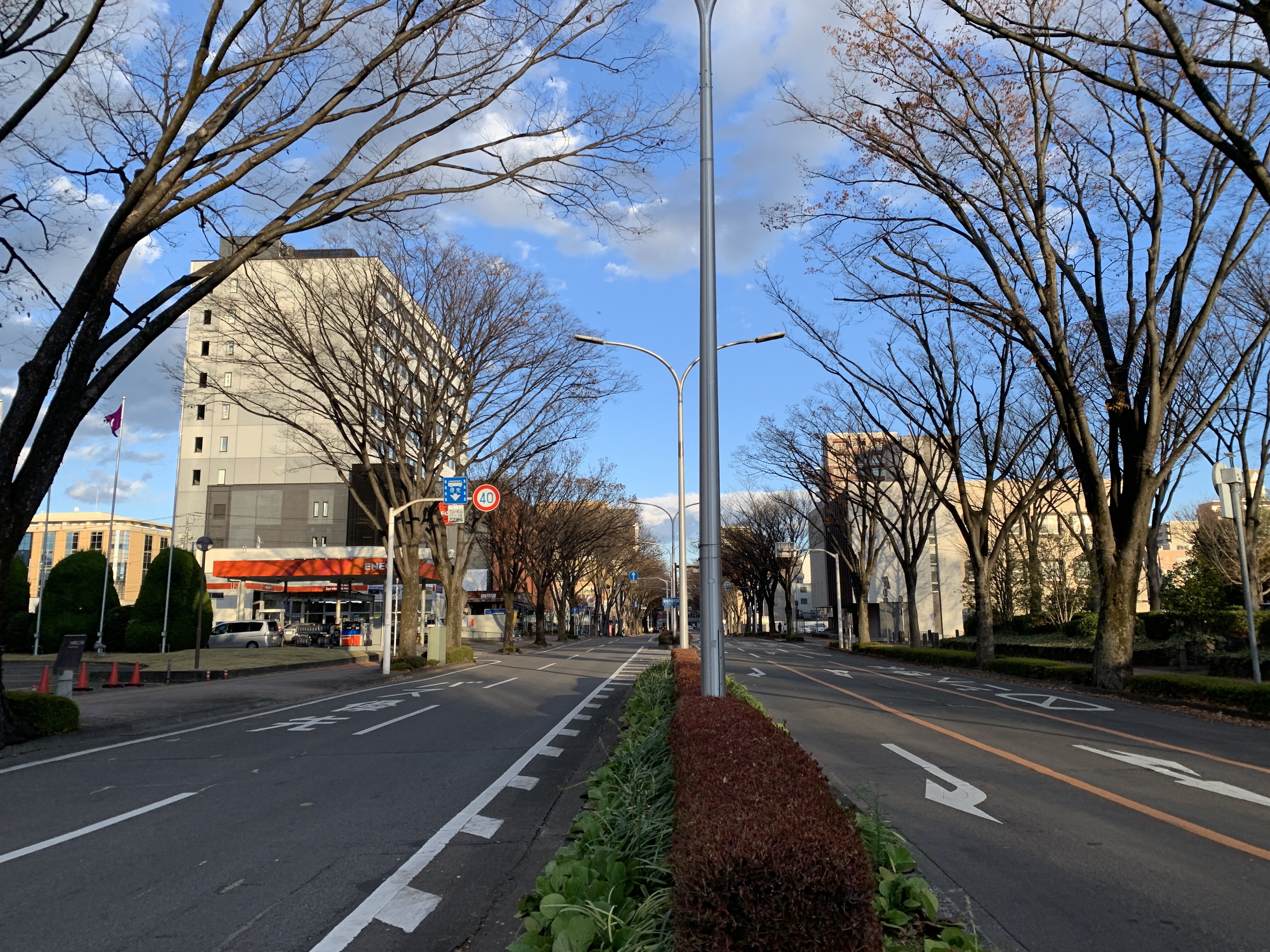 県庁前通り